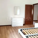 Rent 4 bedroom apartment of 95 m² in Treviso