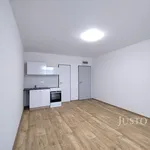 Rent 1 bedroom apartment of 20 m² in Čížová