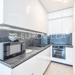 Rent 1 bedroom apartment of 46 m² in Zagreb