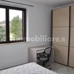 Rent 3 bedroom apartment of 65 m² in Chieti