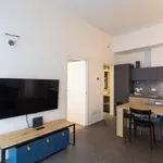 Rent 2 bedroom apartment of 45 m² in milan