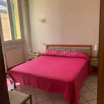 Rent 2 bedroom apartment of 45 m² in Piacenza