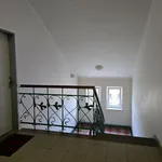 Rent 1 bedroom apartment in Pilsen