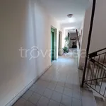 Rent 1 bedroom apartment of 35 m² in Pomezia