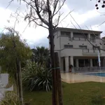 Rent 1 bedroom house in Agía Marína