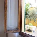 Rent 4 bedroom apartment of 75 m² in FIRENZE