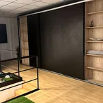 Rent 1 bedroom apartment in madrid