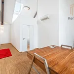 Pronajměte si 3 ložnic/e byt o rozloze 180 m² v Prague