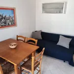 Rent 1 bedroom apartment of 45 m² in Pisa