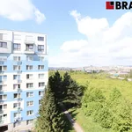 Rent 1 bedroom apartment of 28 m² in Brno