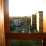 Rent 3 bedroom apartment of 170 m² in Arezzo