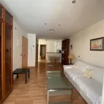 Rent 1 bedroom apartment of 50 m² in Málaga (Centro)