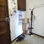 Rent 2 bedroom apartment of 50 m² in Torino