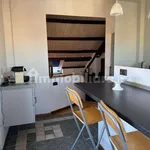 Rent 4 bedroom apartment of 120 m² in Turin