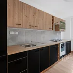 Rent 3 bedroom apartment of 71 m² in Brno