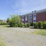 Rent 2 bedroom apartment of 46 m² in Hannover