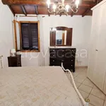 Affitto 4 camera casa di 71 m² in Fauglia