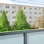 Rent 2 bedroom apartment in Neratovice