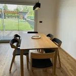 Rent 1 bedroom house in Ostrava