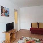 Rent 1 bedroom apartment of 28 m² in Timișoara