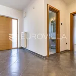 Rent 5 bedroom house of 300 m² in Zagreb