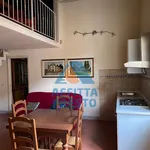 Rent 3 bedroom apartment of 70 m² in Pisa