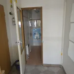 Pronajměte si 2 ložnic/e byt o rozloze 47 m² v Pilsen