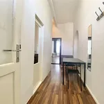 Rent 1 bedroom apartment in Brno