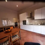 Rent 3 bedroom apartment of 120 m² in Siena