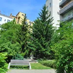 Rent 2 bedroom apartment of 50 m² in Prague