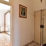 Rent 2 bedroom apartment of 60 m² in rome