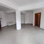 Rent 8 bedroom apartment of 240 m² in Avezzano