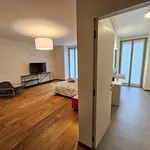 Rent 2 bedroom apartment of 240 m² in Torino