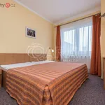 Rent 1 bedroom apartment of 25 m² in Praha