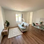 Rent 1 bedroom apartment of 45 m² in Porto