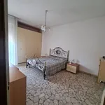 Rent 2 bedroom apartment of 70 m² in bologna