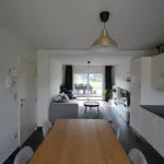 Rent 1 bedroom apartment in Turnhout