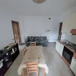 Rent 2 bedroom apartment of 54 m² in Milano