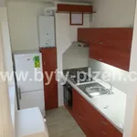 Rent 1 bedroom apartment of 40 m² in Pilsen