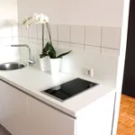 Rent 1 bedroom apartment of 377 m² in Cologne