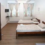 Rent 1 bedroom apartment of 20 m² in Prague