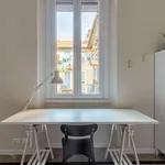 Rent 1 bedroom apartment in Milan