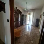 Rent 3 bedroom apartment of 70 m² in Bologna