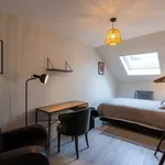 Kamer van 300 m² in brussels