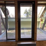 Exklusive 3 Raumwohnung mit EBK , Kamin und Dachterrasse