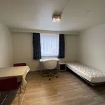 Rent 1 bedroom apartment in Leuven