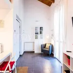 Rent 1 bedroom apartment of 40 m² in Milano