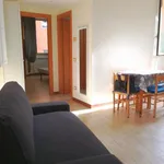 Rent 2 bedroom apartment of 45 m² in Roma