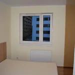 Rent 2 bedroom apartment of 46 m² in Poznan