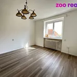 Rent 1 bedroom apartment of 30 m² in Blansko